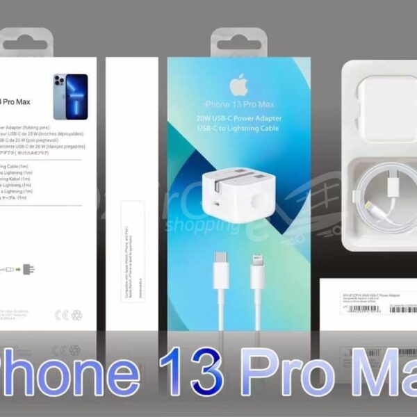 Adaptateur APPLE secteur USB C iPhone12 pro max 20W Câble Lightning USB C